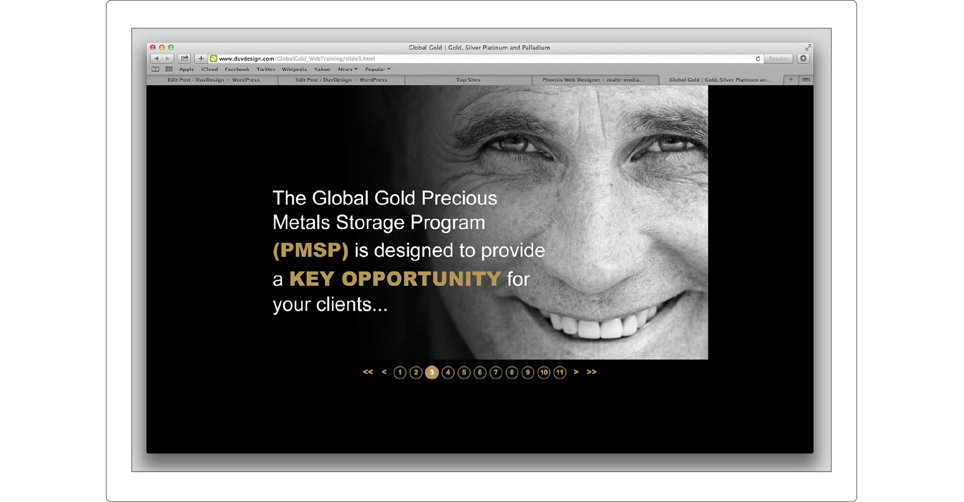 Global Gold Training Presentation