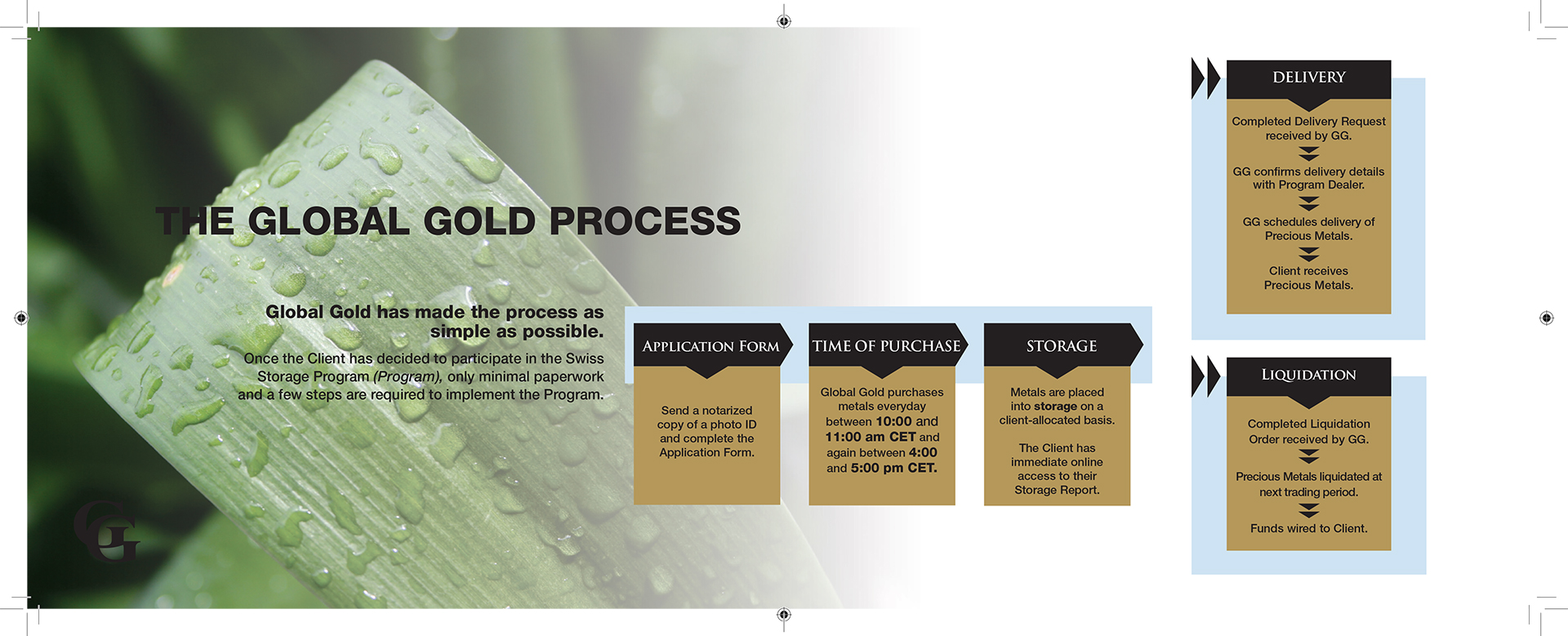 Global Gold Brochure Design